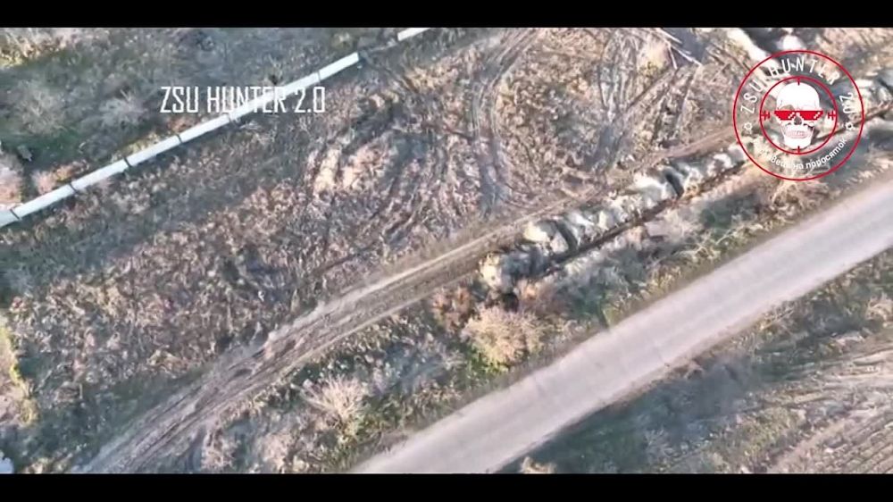 #����������� �� ����������