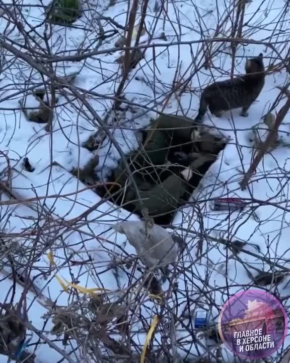 ������� ������� ������� �� ������ � ����!