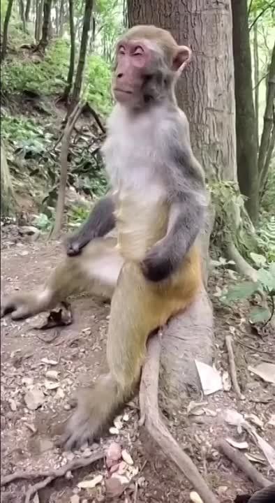 �� � ��� ��������, ��� ���� ����� �������