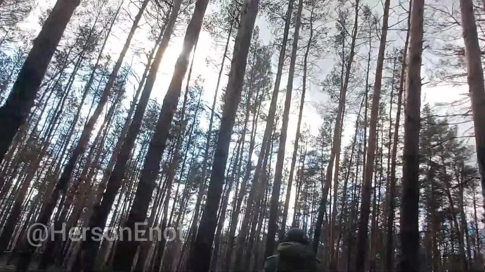 ���� �� �������: �������� �� ���������� ����?