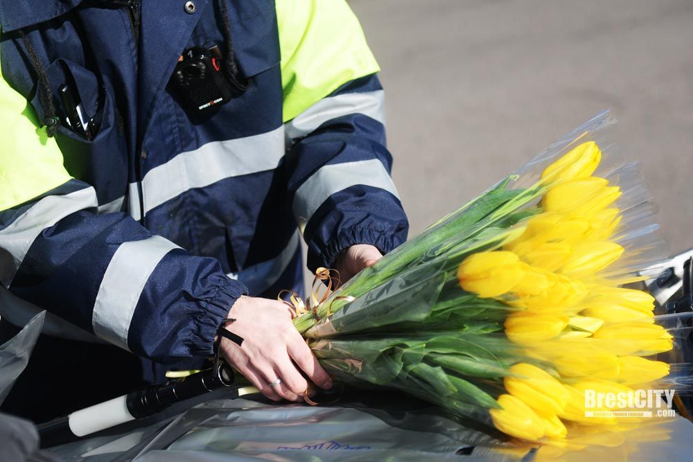 ����� ��� ��������