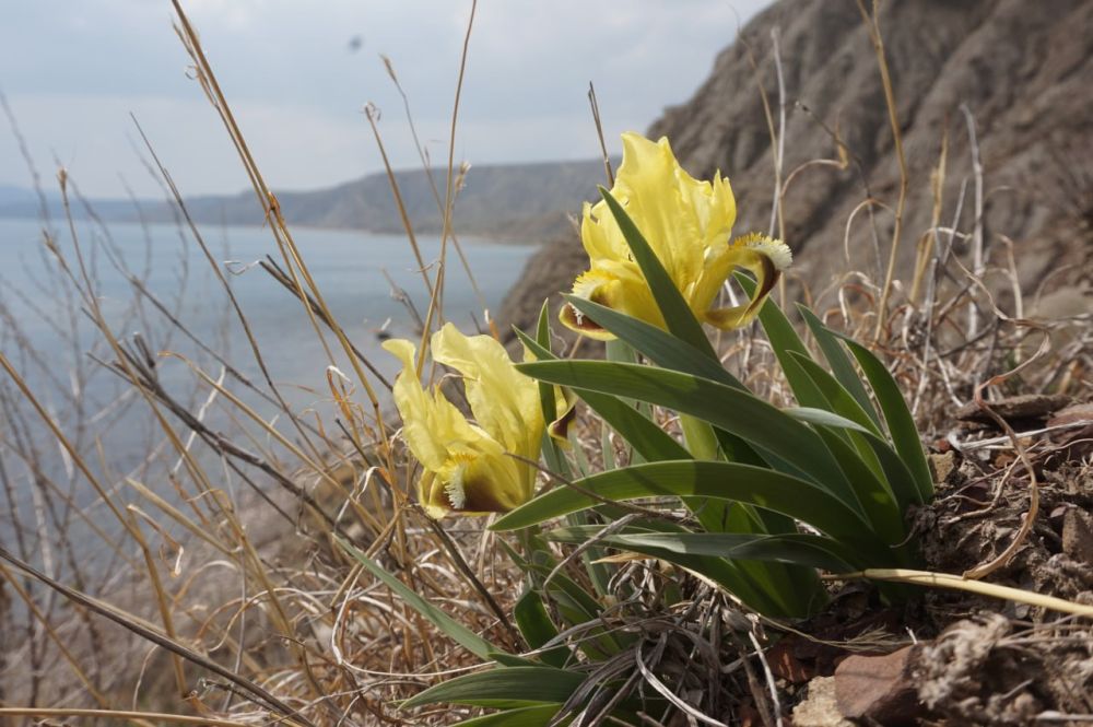 ������� �������!. �������� ������ "�������������� ������" �������� ����������� ��� � ������������� ������� ����