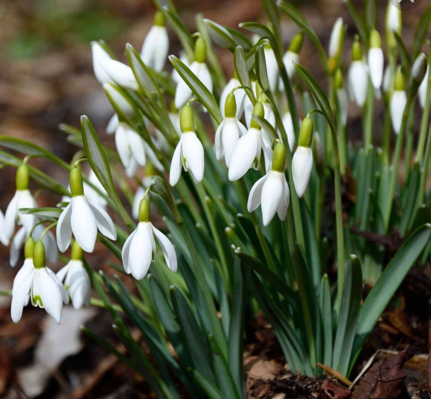 ����� ���� ������� !. ������� ���������������� ������������� �� ���� ����������� ��� � ��������, ������� ����������!