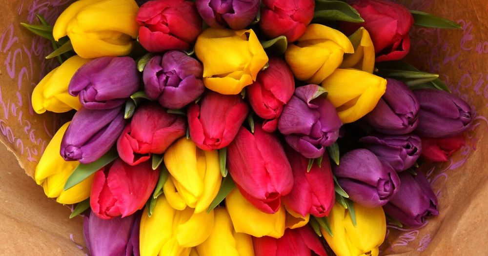 ������������� ������� ���� ������������� � �����-��������� � ���������