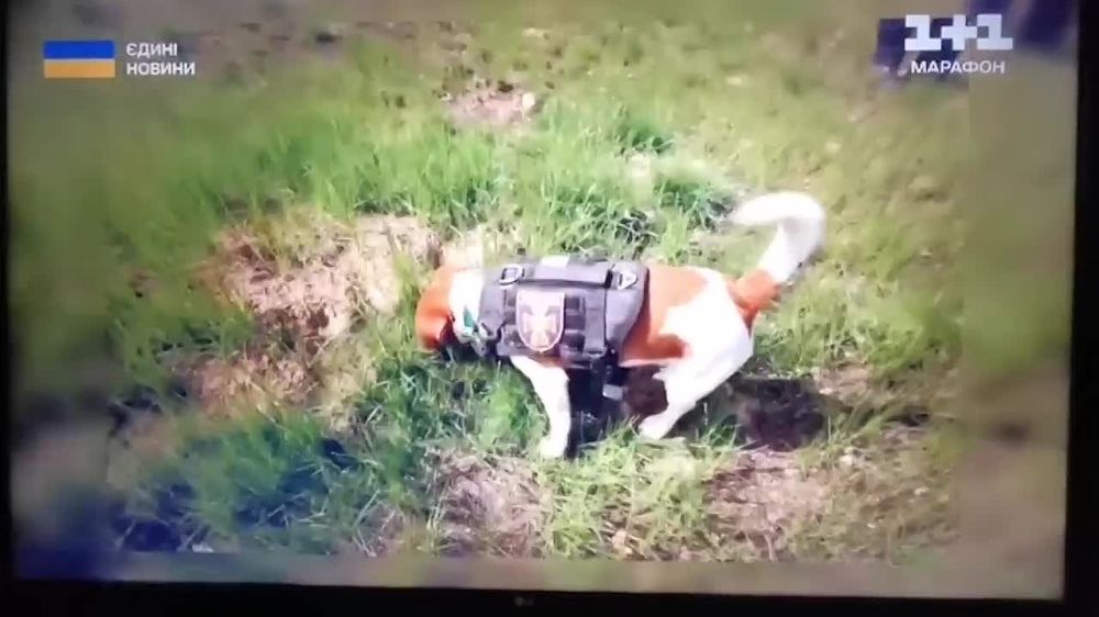 #��������. �� ���������� ������� ������������ � ���, ��� ������ �� ������� ����� �������� � �����, � � ������ �����, �������...