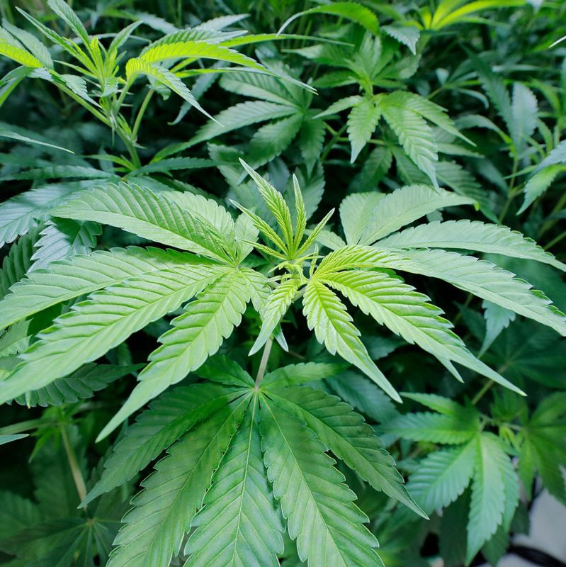 � ���������� ������� ���������� ������������������ ������� ������� ��� �������