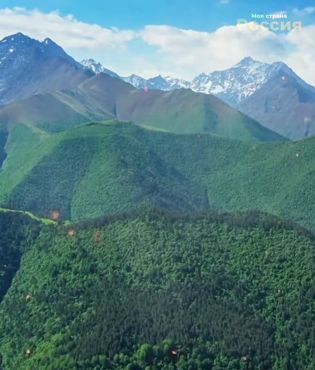 ��� ����� ������ ������ ���������� �� ����������!