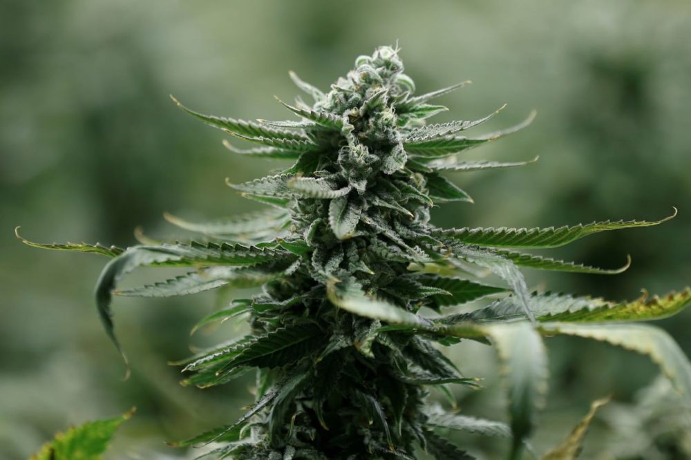 ���������� ������� � ���������� ������� �� ��� ��� ������ ����� ��������� ���������