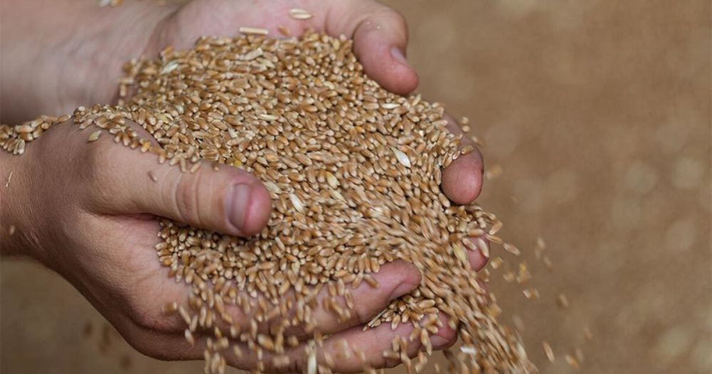 �� ���������� ���������� ������ ������ ������ ��������� �� ����� �����