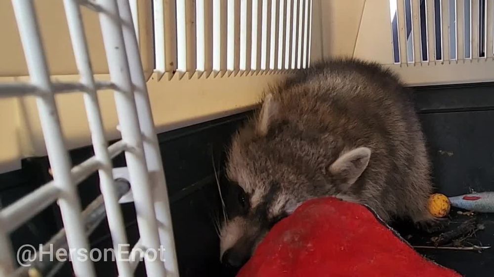 ���� �� �������: ������� ���� � �������� ���! ���� ����� ��������, �����������!