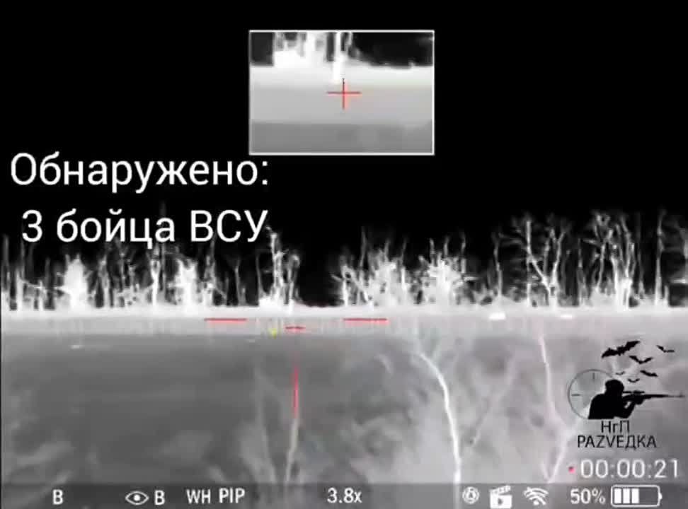 �������� �����: ������� �������� ���� ��������