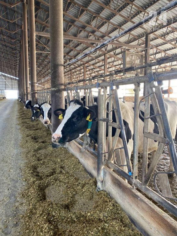 �������� ���������� ����� ������� � ����� �� ����� �� ���� ���������� �������