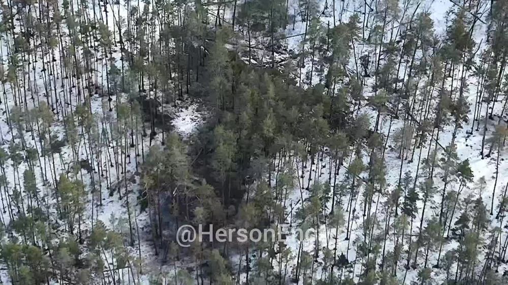 ���� �� �������: ����� ������� ������� � ����� ��� ���������