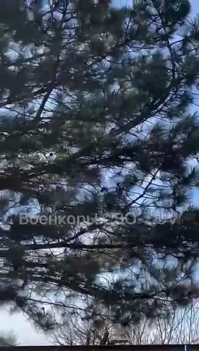 10 ����� � ���� ����� ������� ���� ��������� ������� � ���������� �������