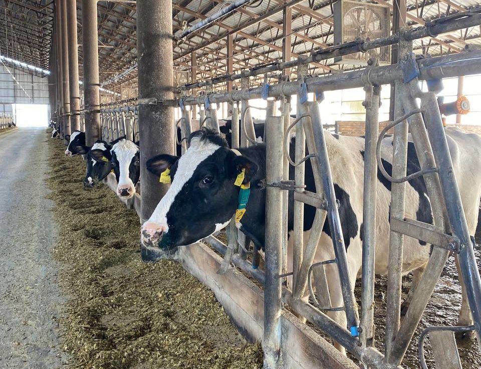 �������� ���������� ����� ������� � ����� �� ����� �� ���� ���������� �������