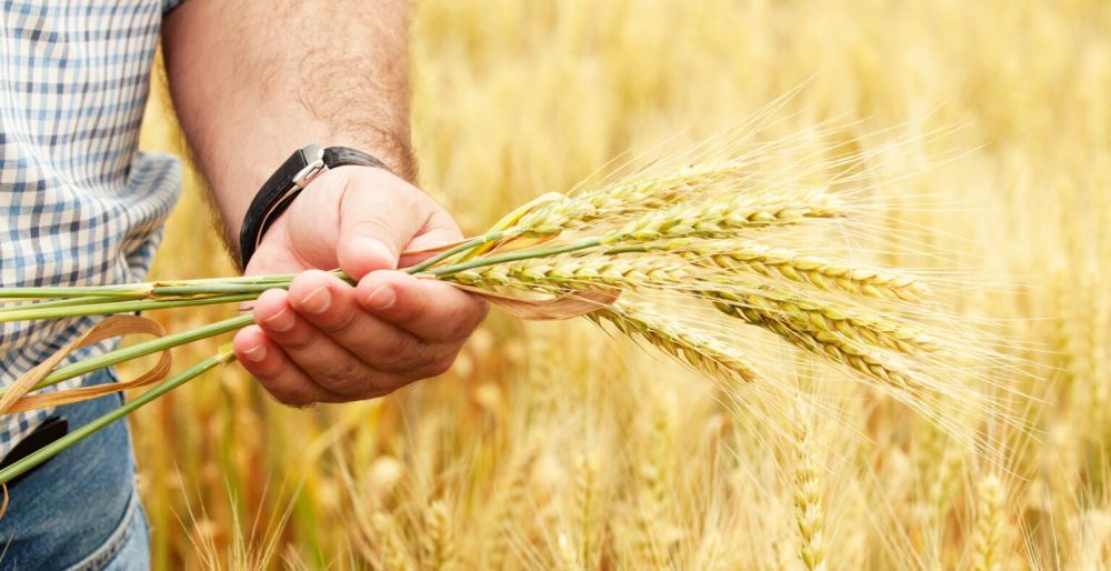 � 13 ����� ���������� ����� ���������� �� ������� �������� �������� ���������� �������