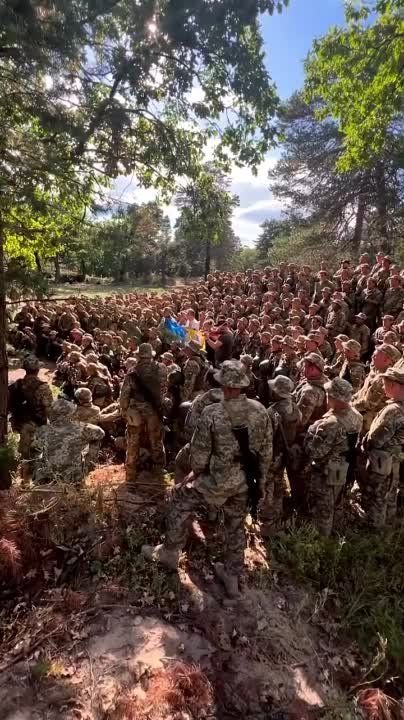 ��� ��� �������� �������� �� ��, ��� �������� ����������� ������ ���� �������