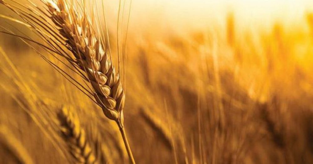 ���������� ���������� ������� ��������� ������ �� ��������