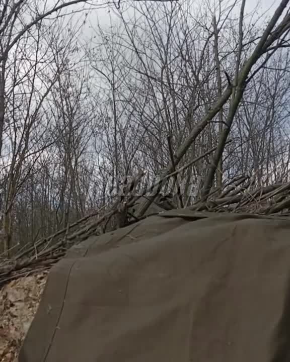 ������ ����������� ������� �� ���������� ����������� � ������� ���������� �������� �������� ������� ���������