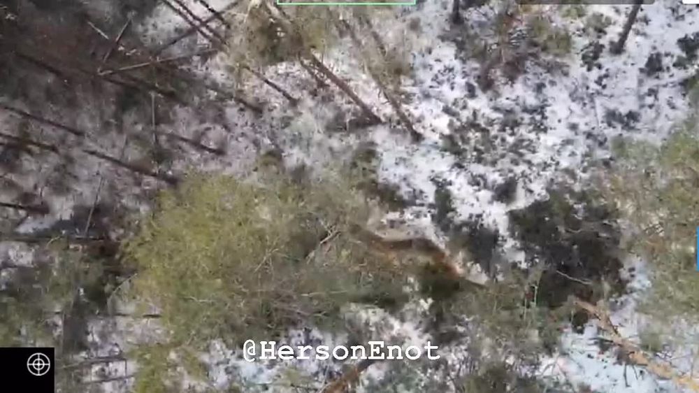 ���� �� �������: ��������� �������� ������� �������� � �����