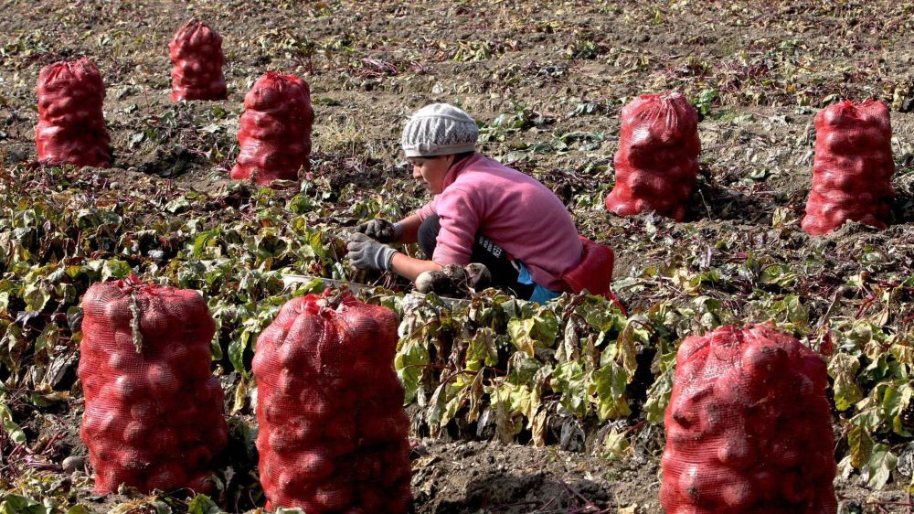 ������� ����� �������� �������� � ���� ���������� ����