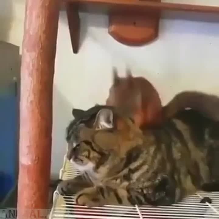 ����� ������� ����� ���������� ������� ������ ������� �� ���� ����� ���������� ������ ������ � ������ �������������� ��������� �������