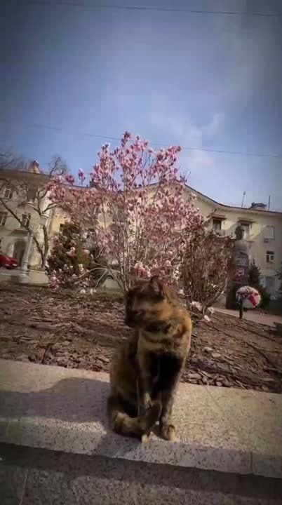 � ����������� �� ������� ������� �������� �������� ������� - ������ ����� ����������� ���������� ������ ���������