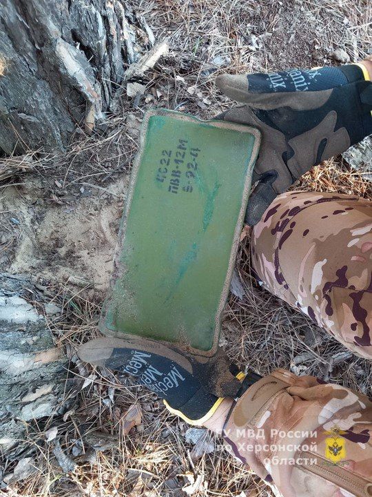 ������ ���������� ������� ������ � ������� 12 ���������, ���������� � �������� ����������� � ���������� ���������