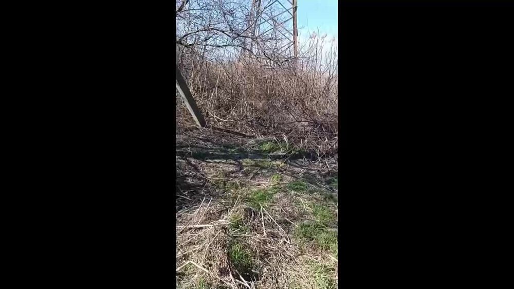 ����������� ������ � ������ ����������� �� ��������� ����� � ��� ���������� �����������