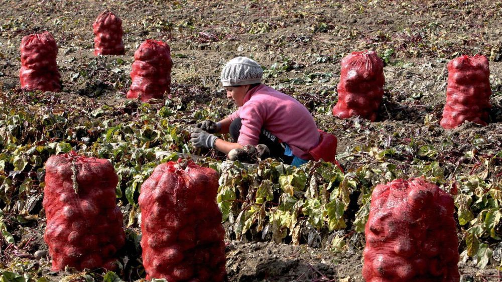 ������� ����� �������� �������� � ���� ���������� ����