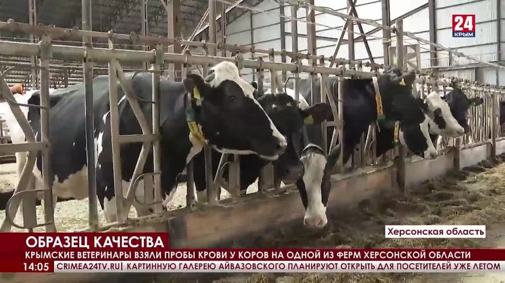 �������� ���������� ����� ������� � ����� �� ����� �� ���� ���������� �������