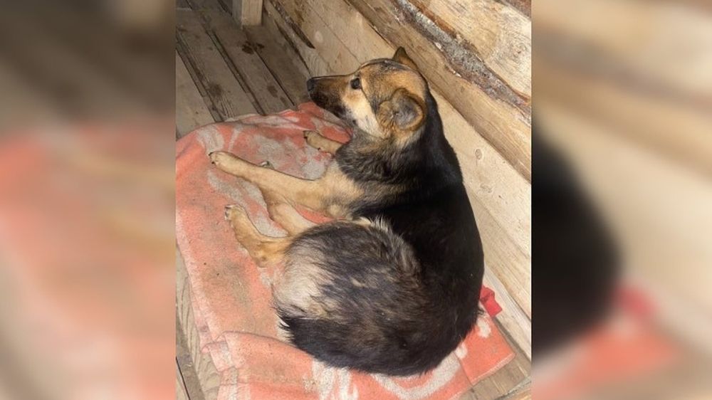 ������ �������, �� �������� �����: � ���������� ������� ������ ��������� ��� �������, ������� �������� ������