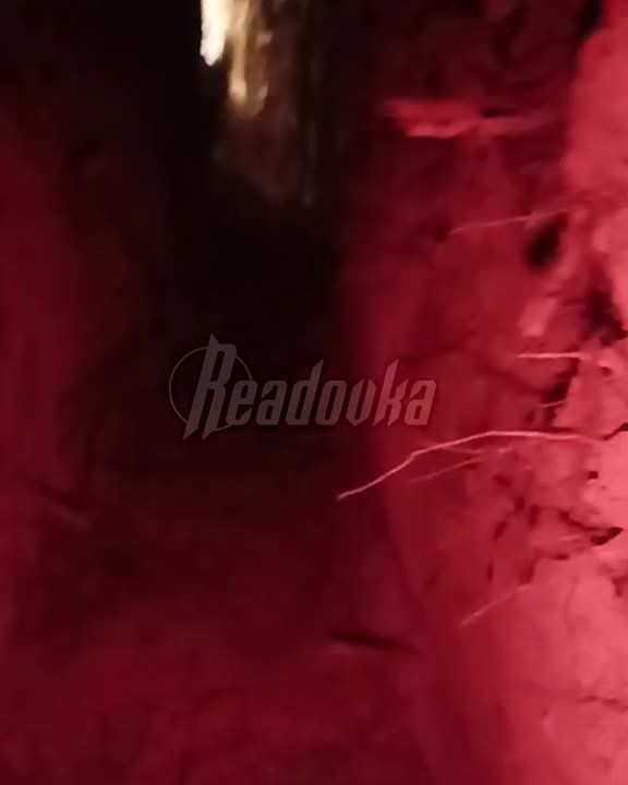 ����� �� �������� �������� ��� �� ���������� �����������