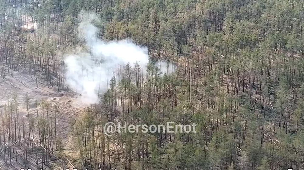 ���� �� �������: ���������� ����� �������� �� �����, ���� � �� ��� ���� �������� � ���� ��������� ������� ������ ����������