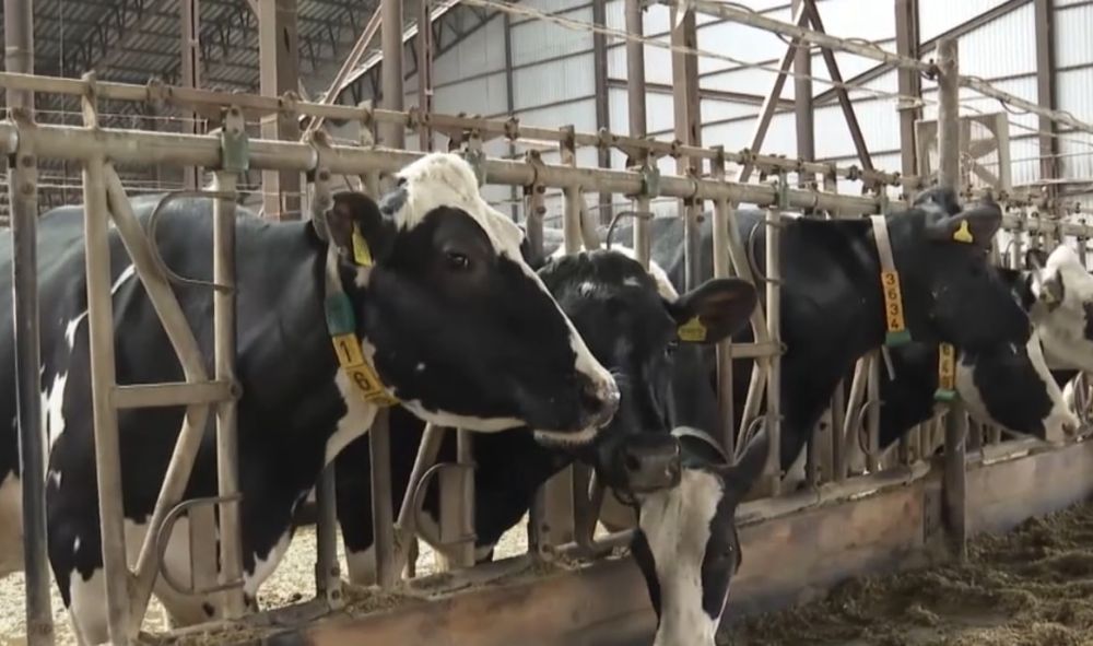 �������� ���������� ����� ������� � ����� �� ����� �� ���� ���������� �������