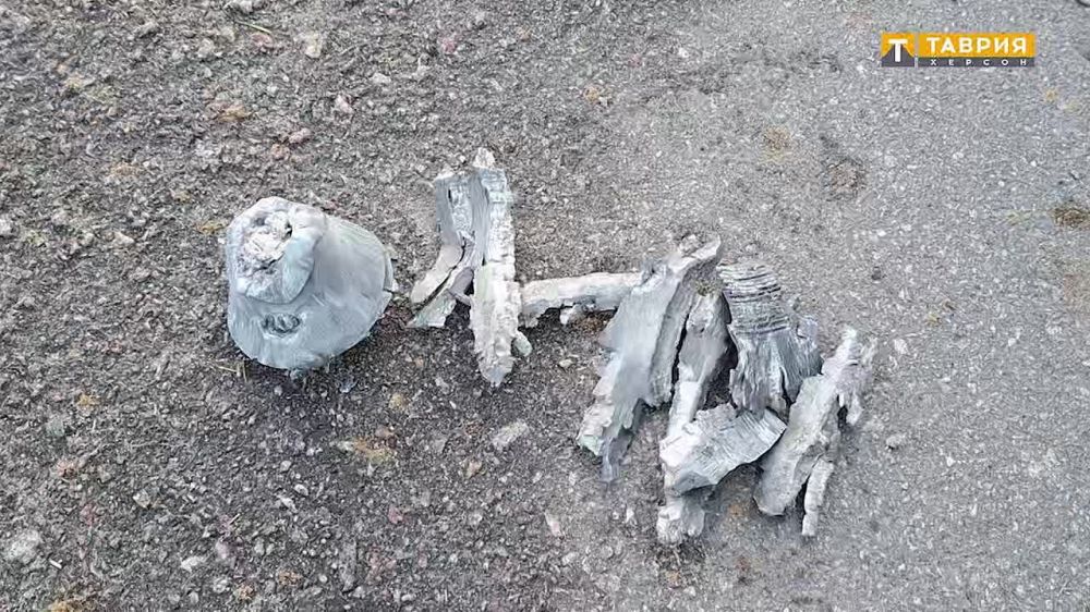 ����������� ������������ ������� ���������� ������ ������������ ���������