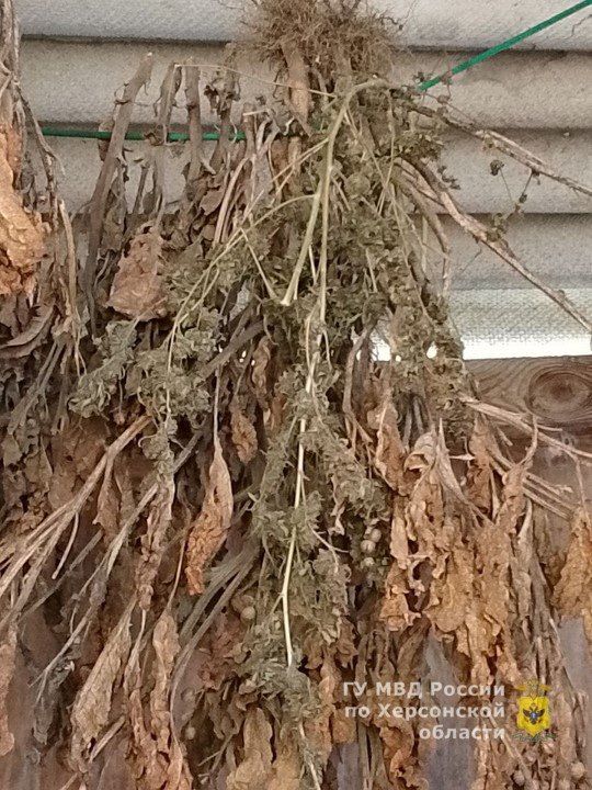 ���������� ������� � ���������� ������� ���������� ������ � ���������� ��������� ������������� �������