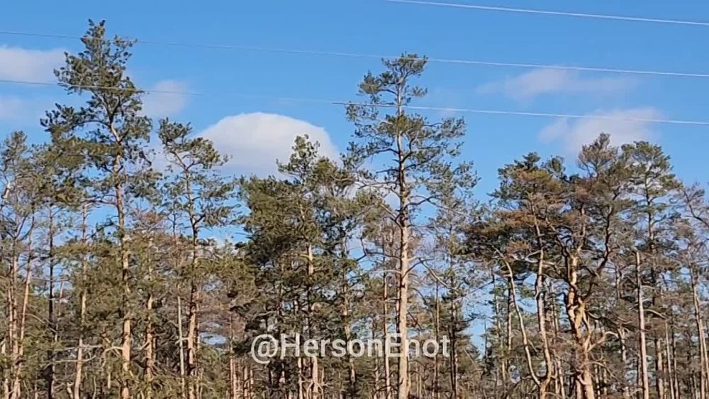 ���� �� �������: ������� ���� � �������� ���!