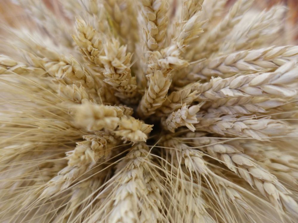 ��� ������ �������� �����������: � ����� ������ ������-����� �� ��������������� ��� ����� ����������