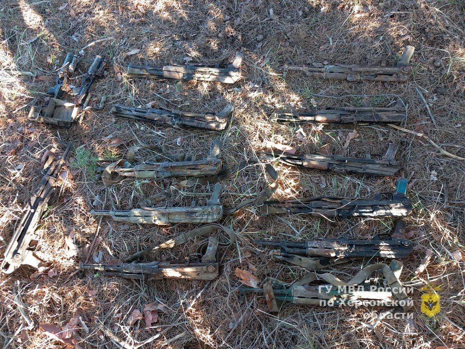 ������ ���������� ������� ������ � ������� 12 ���������, ���������� � �������� ����������� �� ���������� ���������