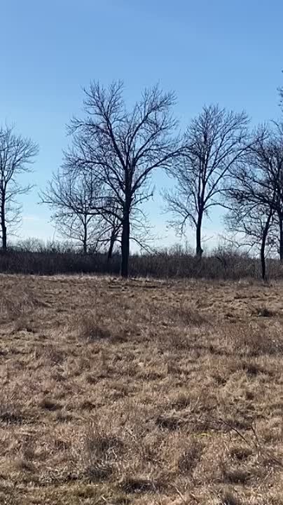 ���������� �������. ��������, ��� � ���� ������������� ���������������� ���������� ��������. ����� �. �������� ���������� ������� ��������� ��� ��������. ����� ����� �����