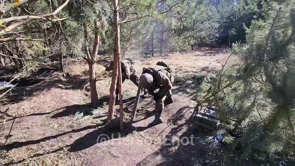 ���� �� �������: #�������������� �� ���������� ���� �� ����� ������������ ������� ������������ � ���� � ����������