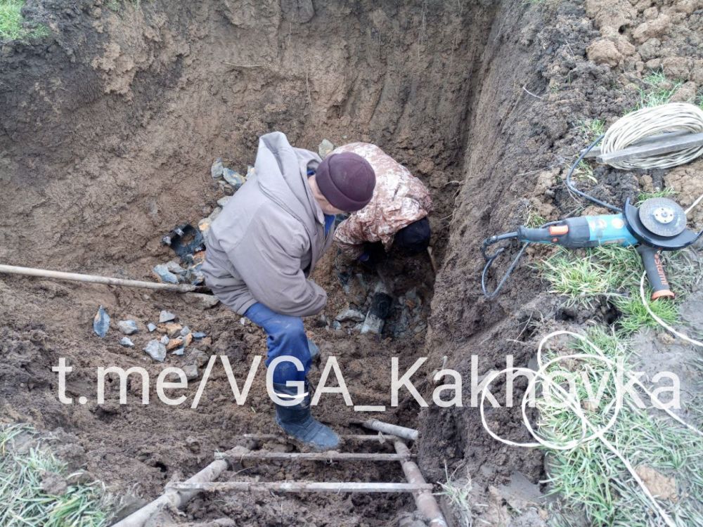 ���������� ������������ ����������� �����������: