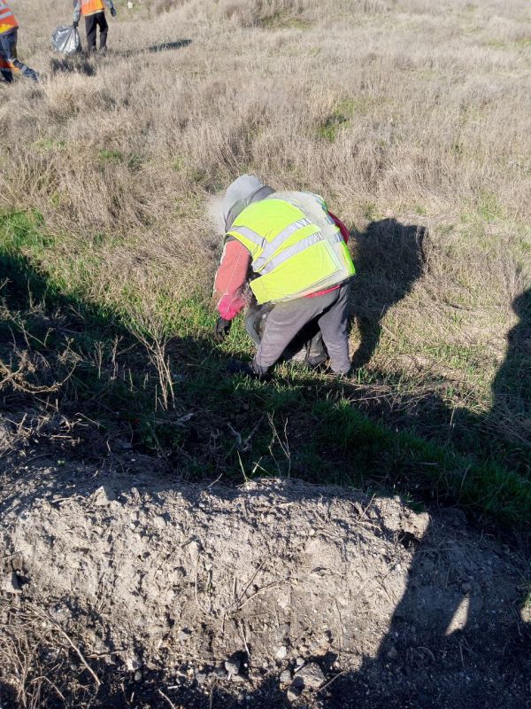 � ������ ������ ������ �����