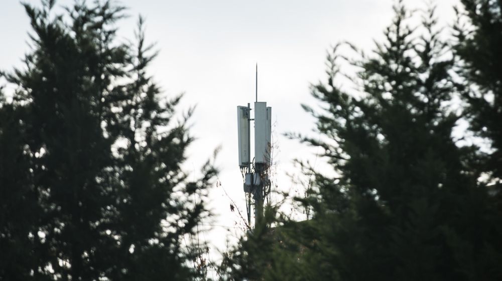 ������ ������: ������ ��������� ��������� ����� � ����� ��������� �� � ��� ���� ��� � �� ���������� � ���������� ������������