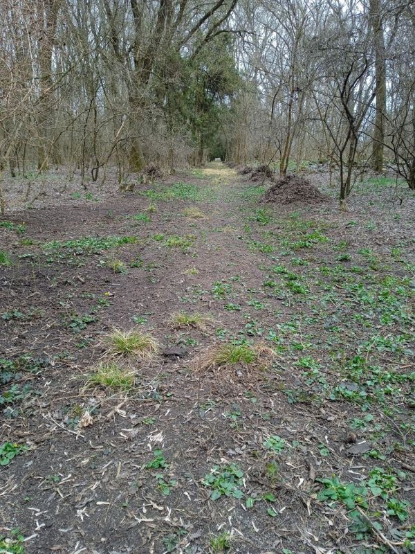 ������� ���� ����������