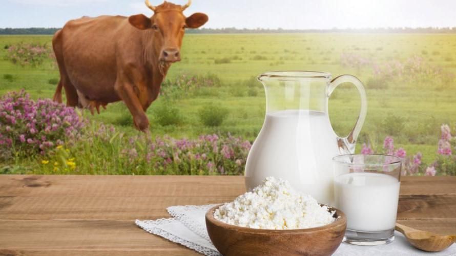 ������������� ��������������� ������������ ������ ���������� ����, ������������ ������ �� ���������� ������������ ������������ � �������� ������ �� ���� �����ѻ ��������� ���������, � ����������� �������������� ��������� �� ���������� � �����������