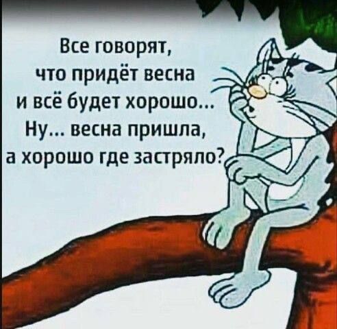 ��������... ��, ������? ������ ��� ����������! �� ������ ��������, ������ ������� � �����