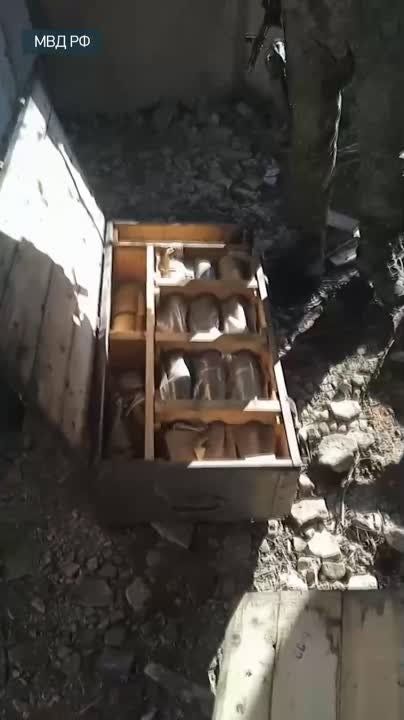 ������ � ������������ �� ����������� ������ ���������� � ���������� �������