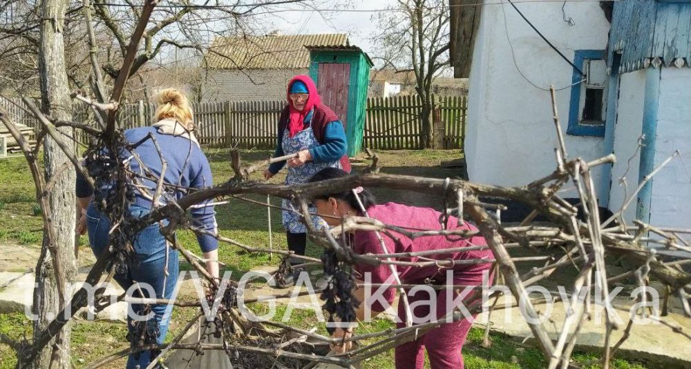 � ���� ������ ��� � ���������� �� ������� �������� ������������ ������ �������